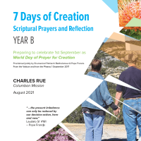 7 days of creation reflection year b cover