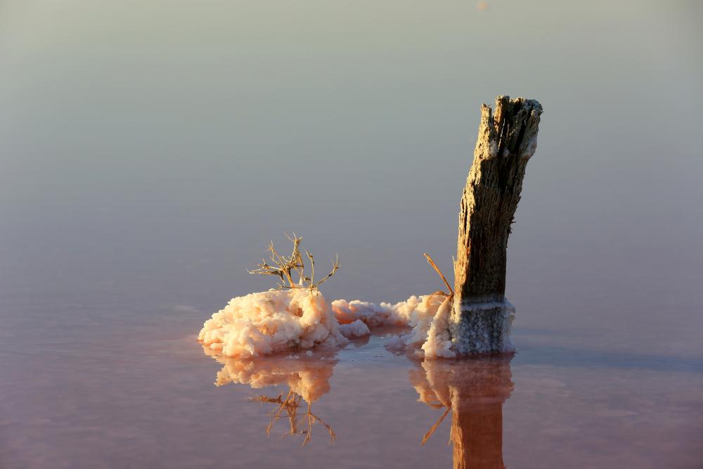 Salt to this earth - Photo:bigstock.com