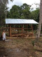 Building begins on a coconut plantation