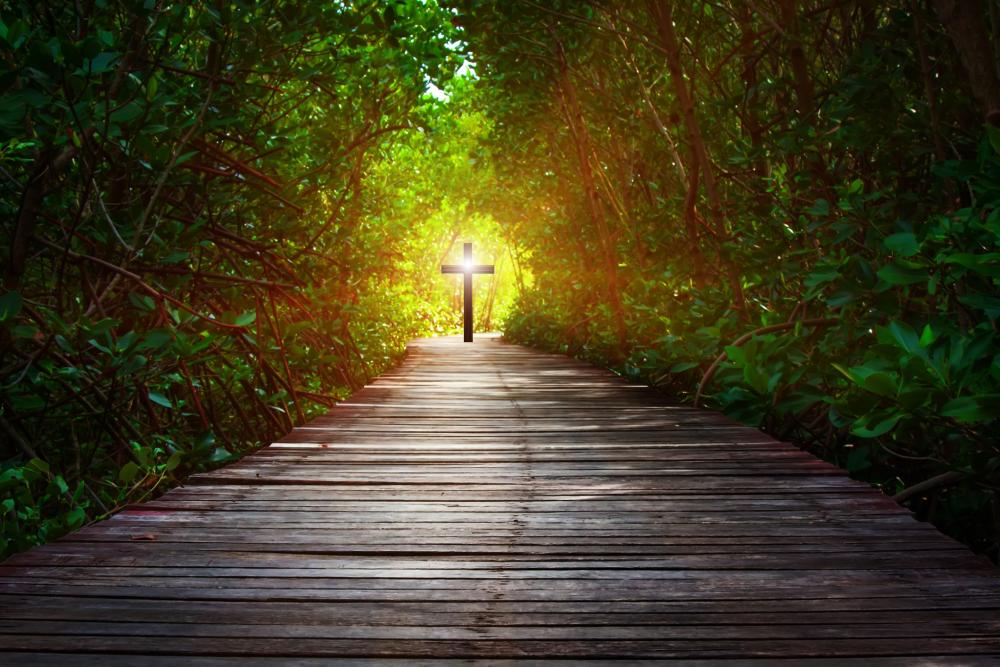 Let us pray for the universal church as we walk together along the path - Photo:istock.com