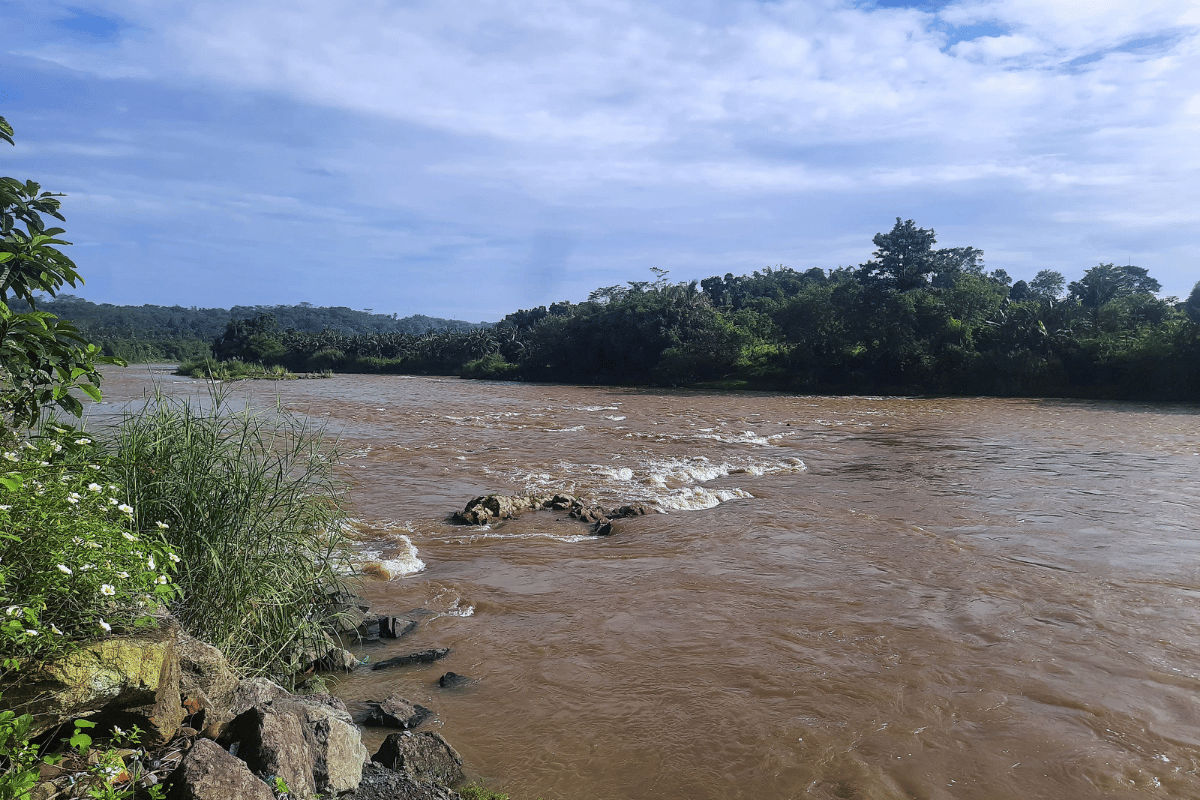 Muddy River Overflows. Photo: canva.com/@ummu-aissabrina