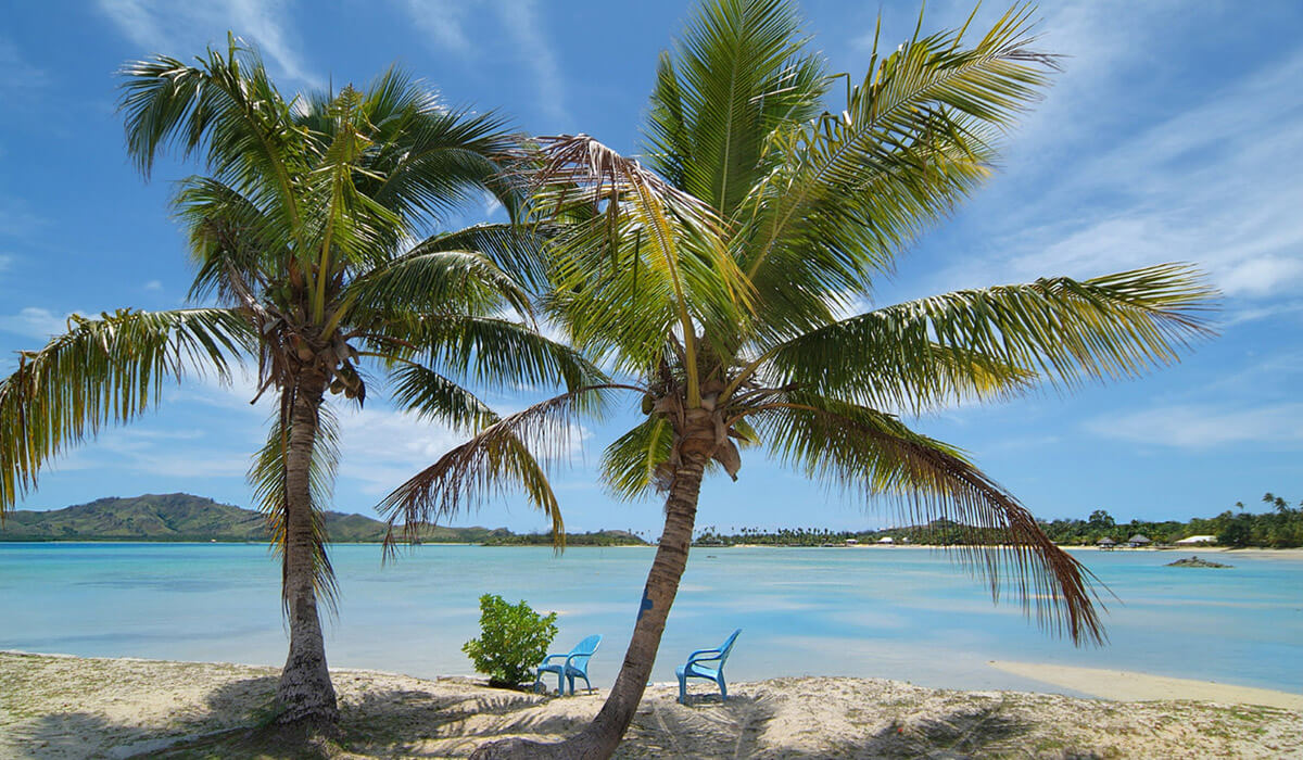 Photo: canva.com/fotofritz16