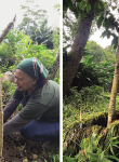 A shoot from the stump: life, loss and mission