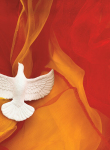 Reflection - My Pentecost in Birmingham