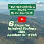 Transforming Hope into Action: 6 Steps for Integral Ecology This Laudato Si’ Week 2026